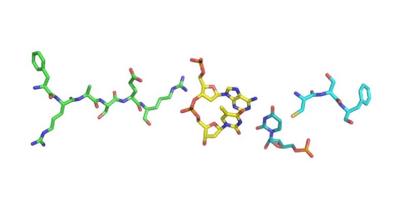 The Fraser Lab Method of Following the Scientific Literature | Fraser Lab